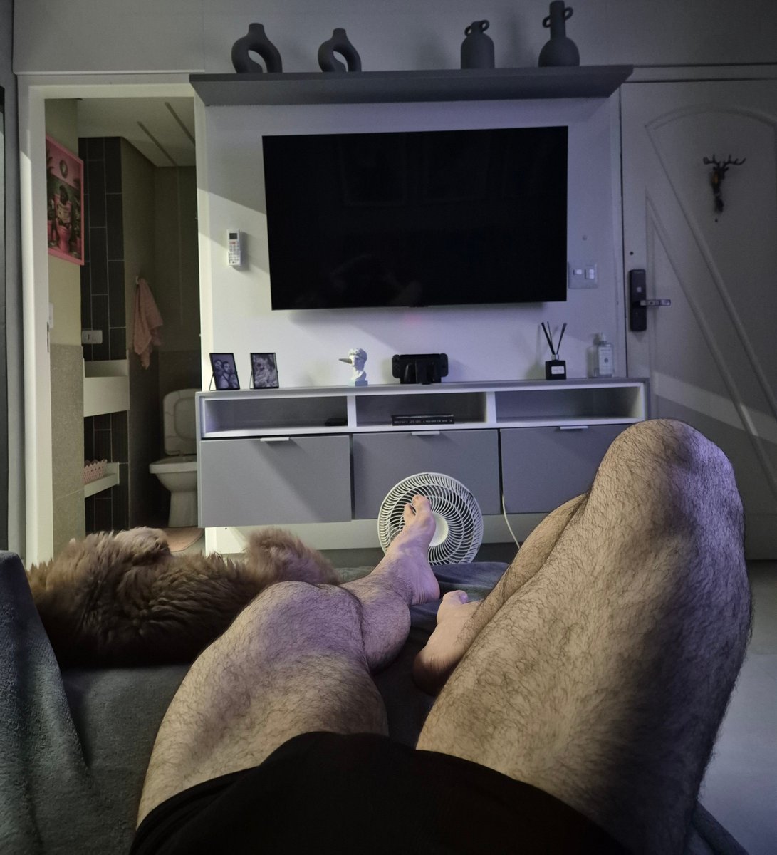 leleogradis's tweet photo. Servindo pernas pois é tudo que to podendo treinar até o fim do ano 🤡 https://t.co/l4wKlFKvDh