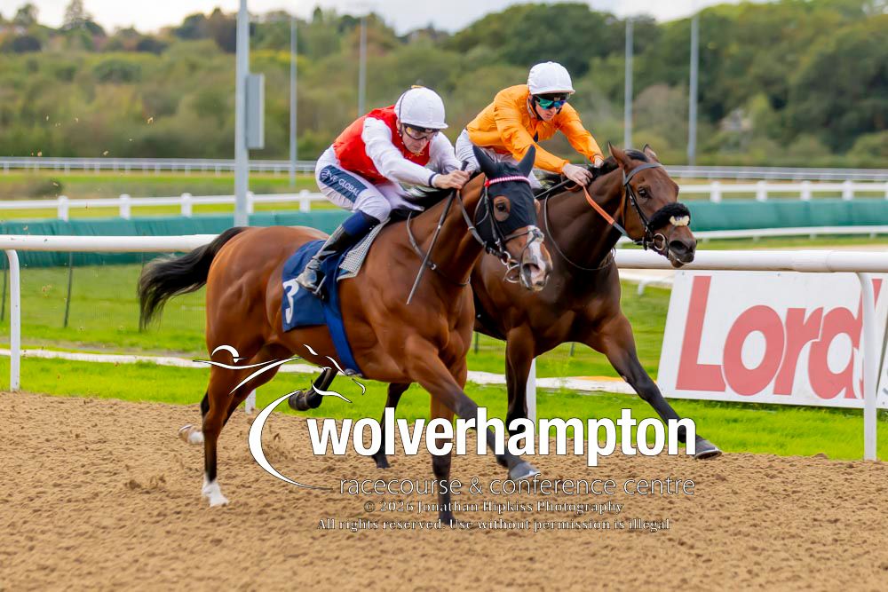 WolvesRaces tweet picture