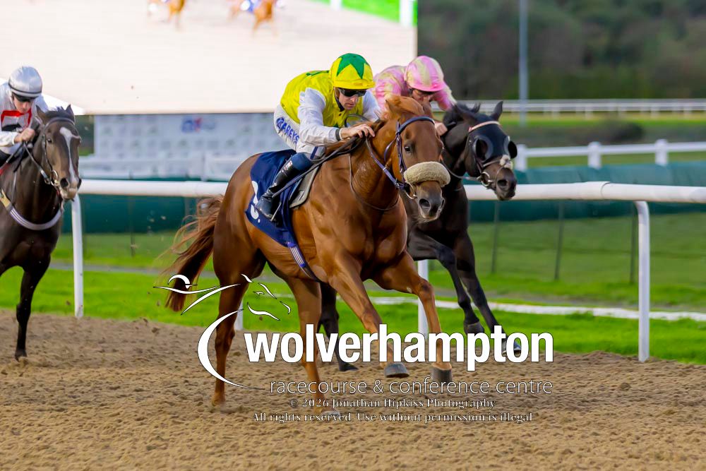 WolvesRaces tweet picture