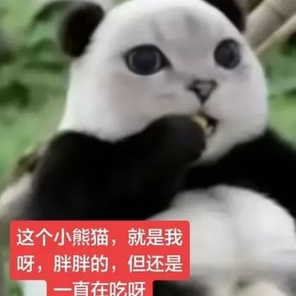 Johnwayne1o0j's tweet photo. @dtFzLS5LPN44430 真该把卡兹加上去，B站的云小鬼已经魔了 https://t.co/a8dfN9okcz