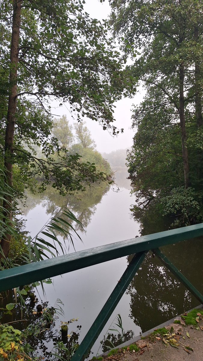 JongejanRichard's tweet photo. Doorkijkje...☁️
@Lelystad @visitflevoland @mooiflevoland @runningplus
@hardloopvriend @loopmaatjes
#swimrun #trailrun #openwaterzwemmen
🏃🏊🏃📷➡️Strava: https://t.co/Ip252aGEx2 https://t.co/GETpDspsov