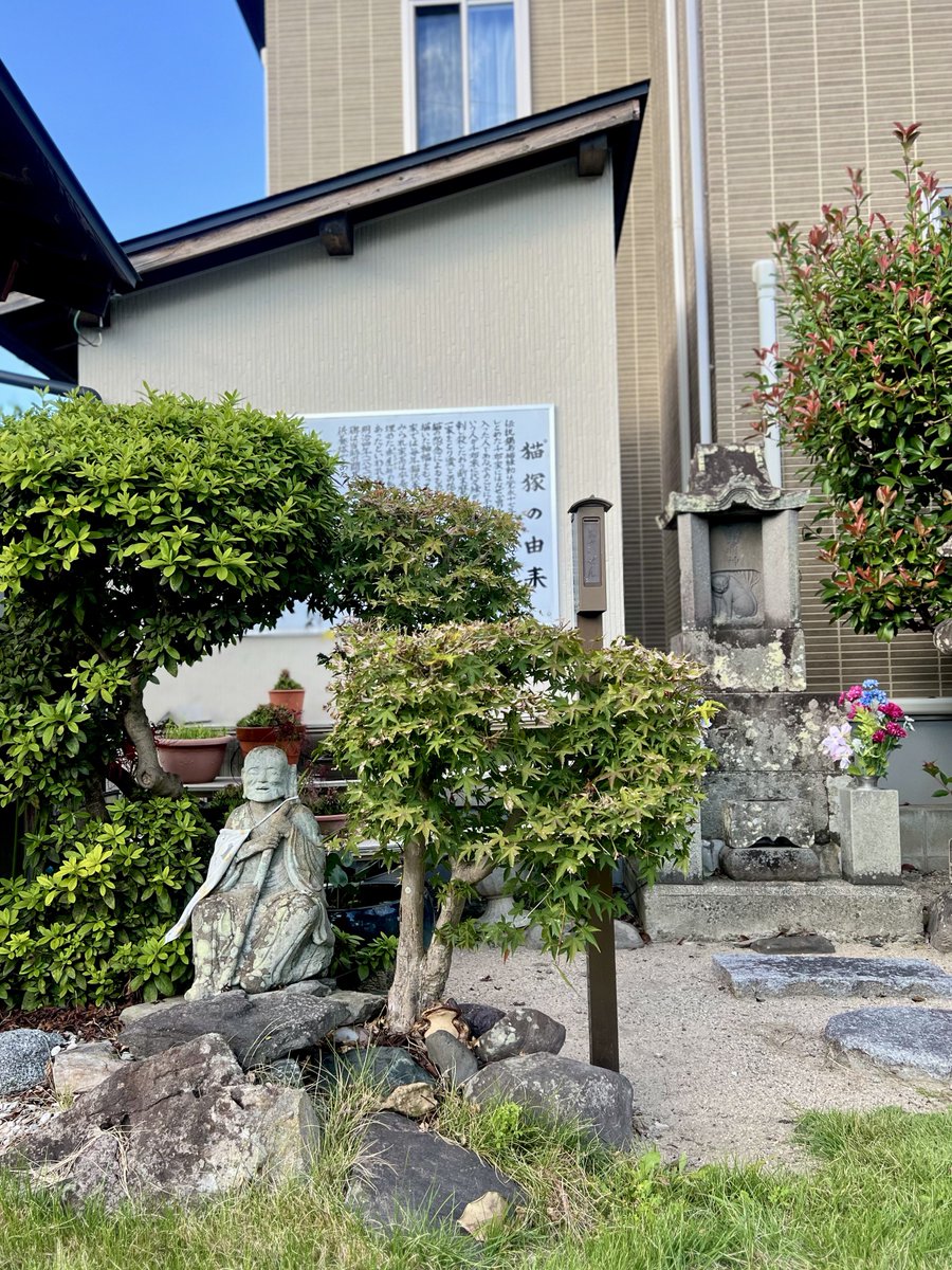 nagaomaru's tweet photo. 熊本と佐賀にある猫大明神に逢いにきています。
佐賀の秀林寺にある七尾の猫様が可愛い。 https://t.co/PJ4wYBluz3