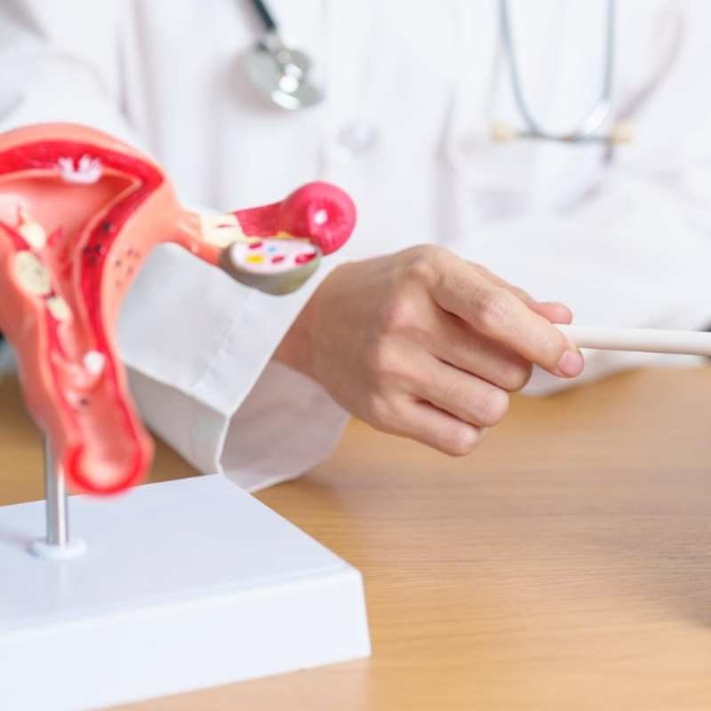 NatuVitro's tweet photo. Controlled ovarian stimulation uses hormone medication to develop multiple follicles for IVF. Protocols are tailored to age, ovarian reserve, previous response and treatment goals. Our team can support you.
https://t.co/wf3Pxtyhs2 https://t.co/Gu15lmwzFm