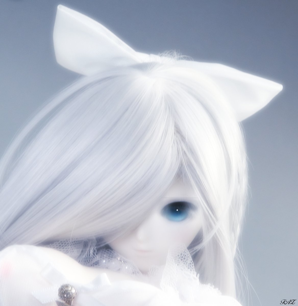 GymGhingnham's tweet photo. #今夜のドール撮影120分一本勝負【なるべく発表回数の少ない画を】
#深夜のドール撮影60分一本勝負
既出 フライング
#うちのこに癒され24時間 #うちのこかわいい #今日のルーン姫 #ルーン #シルファ #シルファリィン #SLTACT #Platina #あたたかな水の中で身をまるめていた https://t.co/aQ2qKpecCv