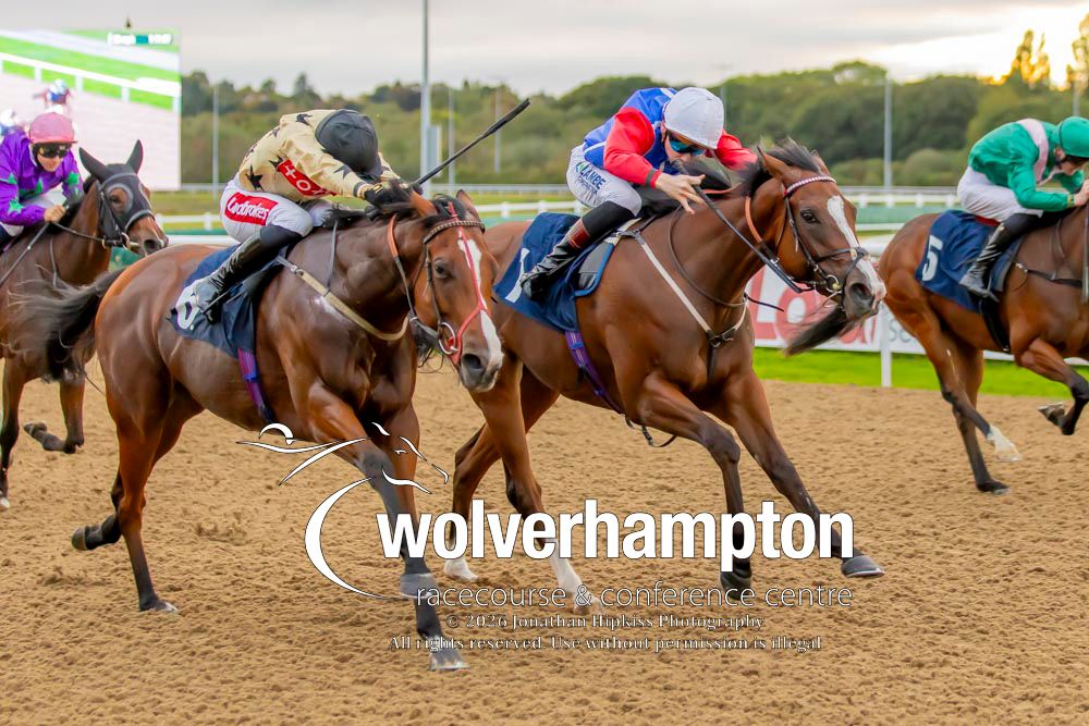 WolvesRaces tweet picture