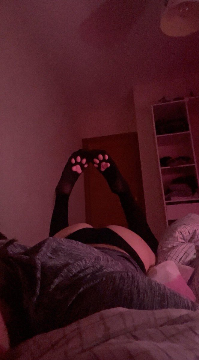 versaclown's tweet photo. meow :3 #catboy #discord #femboy #meow #teen #twink #ass #feet #pawsock https://t.co/otToTo8cOF