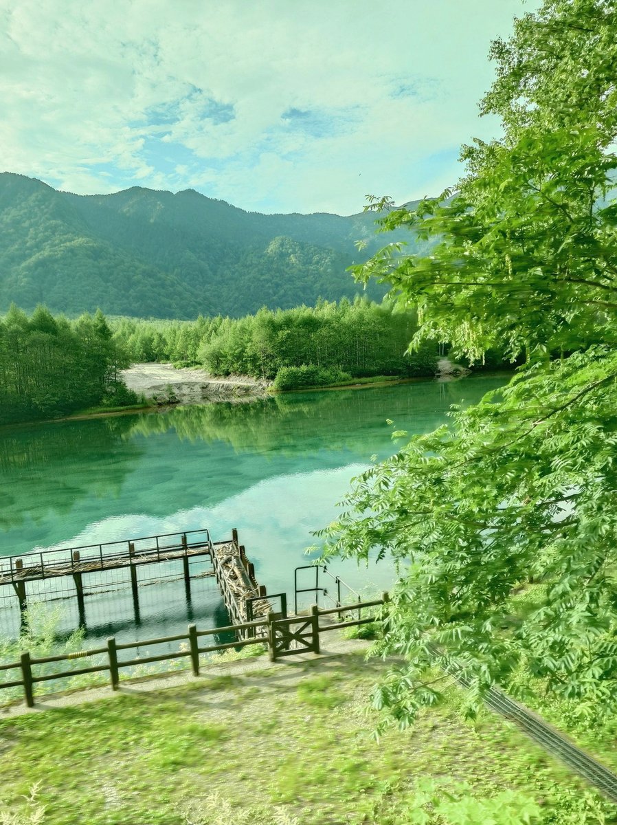 yui__hay's tweet photo. 絵師さんのイラストだったり細かい所のデザインや色味だったり、見るだけでも尊敬しちゃうぐらい、好きになってしまう✨️ https://t.co/oNioMSmYso