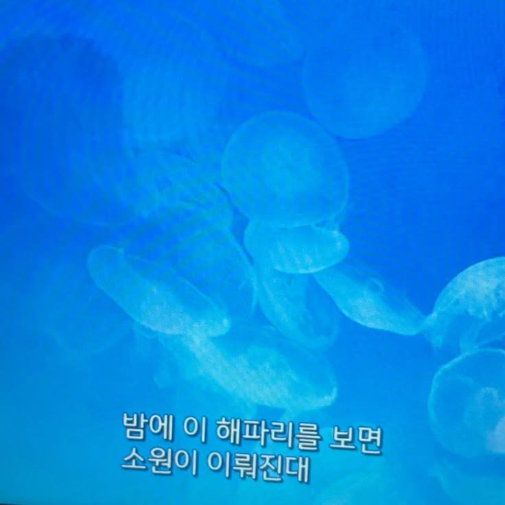 choingeol04's tweet photo. 소원이 이루어지길 https://t.co/xnmOXALYff