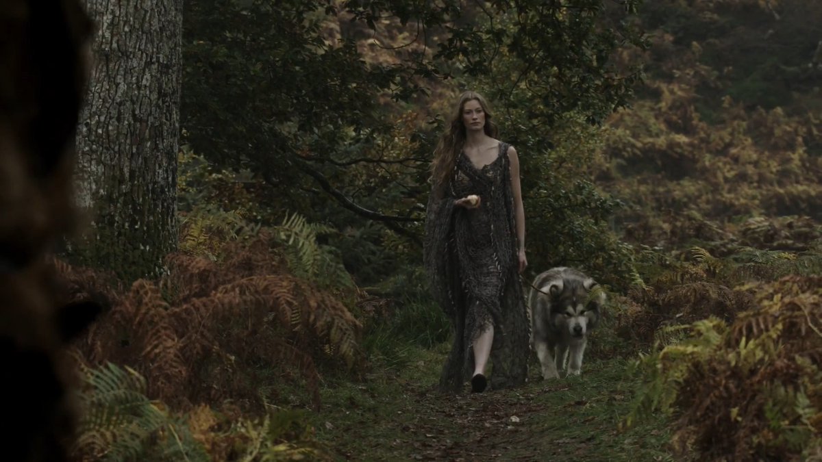 A young woman with long hair, dressed in a flowing dark gown, walks through an autumnal forest accompanied by a husky-like dog on a quiet woodland trail. The ethereal, almost fairy-tale quality of the scene complements the wistful tone of the caption "Comment lui en vouloir…" ("How could we blame him…"), evoking a sense of melancholic mystery and untamed nature.