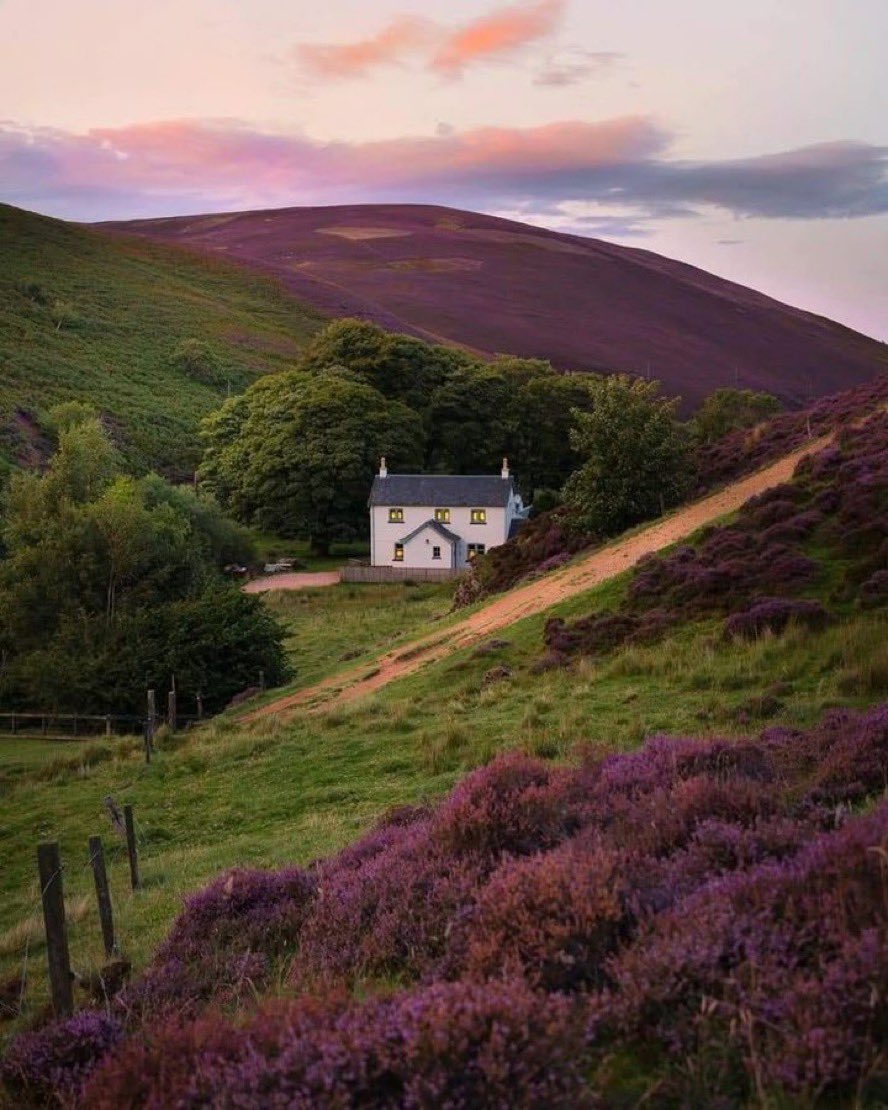 Hadeel__Al5's tweet photo. Scotland 🏴󠁧󠁢󠁳󠁣󠁴󠁿 https://t.co/IBqtculEir