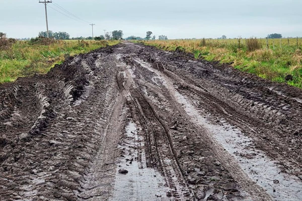 LANACION's tweet photo. “No pedimos favores”: reclaman saber qué pasó con millonarios fondos para los caminos rurales https://t.co/c0RhsN6cSk https://t.co/15wwN8VgJC