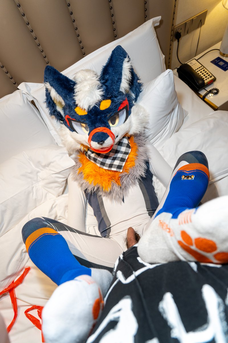deborah36410176's tweet photo. 都说上个视频没射，那我补个特写吧哼哼哼😈 #furry #射精 https://t.co/DtC10cRIiO