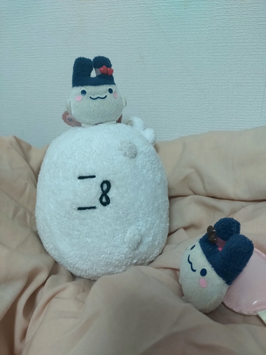 ren_rm_ace's tweet photo. (･ω･*)あざらしちゃん
(･ω･*)お誕生日おめでとうなのです

ε(  c ･ω･)うぬ

(･ω･*)あざらしちゃんは
(･ω･*)どんなふうに生まれたのですか

ε(  c ･ω･)どんなふうに…？

ε(  c ･ω･)なんかいい感じだったと思う

(･ω･*)なるほど
(･ω･*)おめでたいのです https://t.co/a0MJMy7twx