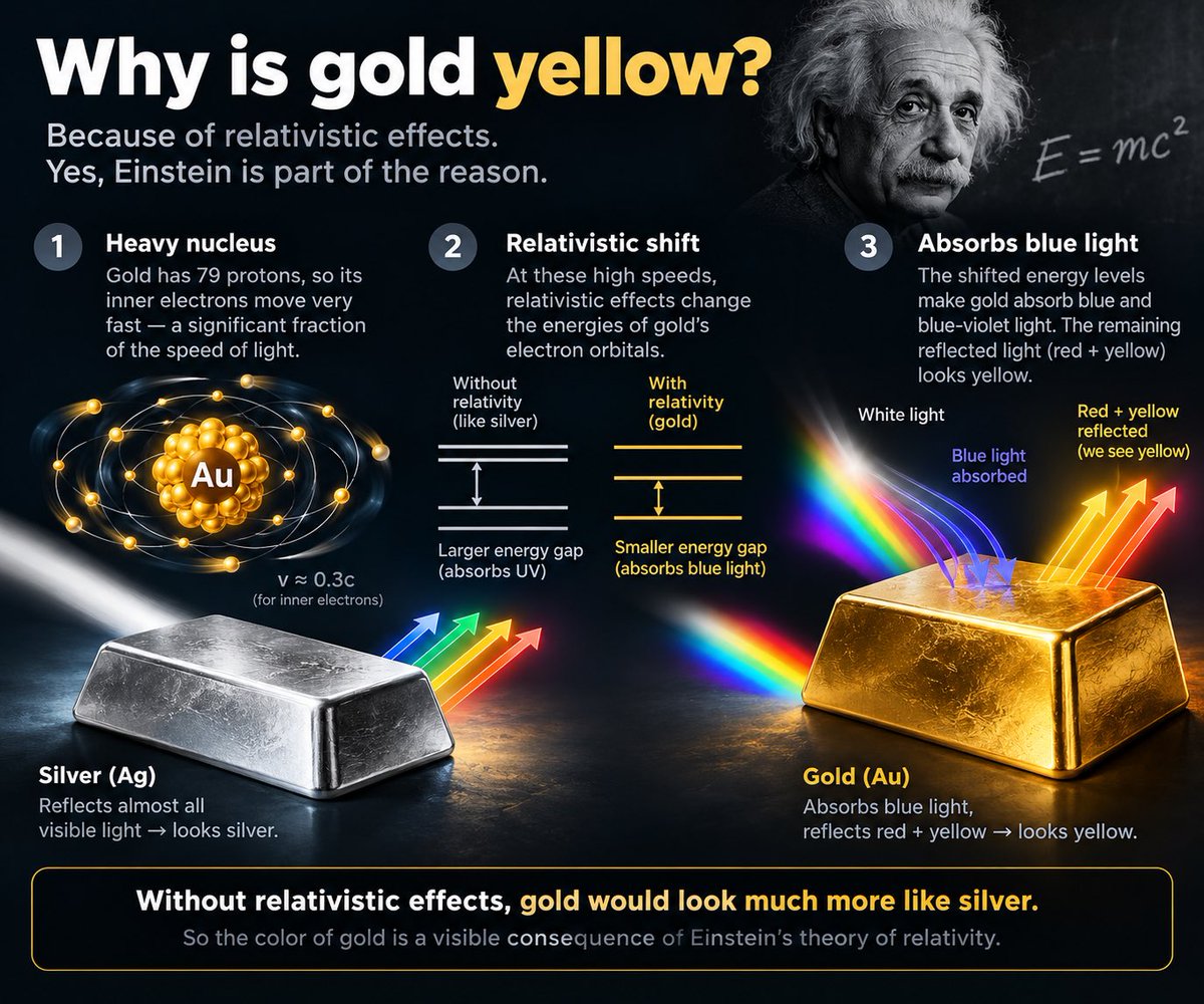 lisachenko's tweet photo. Why is gold yellow? 🪙

Surprisingly, Einstein has something to do with it.

Gold has 79 protons, so its inner electrons move fast enough for relativistic effects to matter.

Relativity shifts gold’s electron energy levels, making it absorb blue light more strongly.

The remaining reflected light looks yellow.

Without these relativistic effects, gold would look much more like silver.

So the color of gold is, quite literally, a visible consequence of Einstein’s relativity. ✨