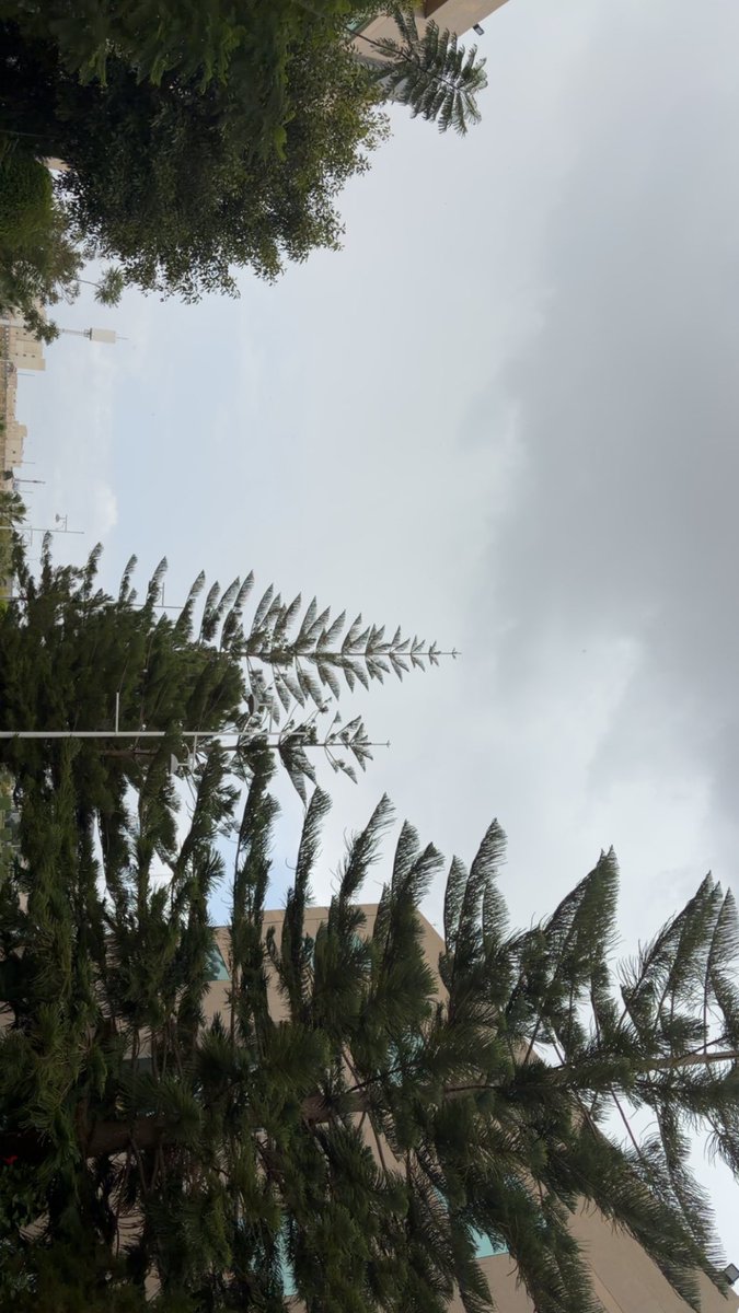 L7Llilill's tweet photo. مطر وحياه وارض استحق امد نظري فيها واشم الهواء وريحه المطر بس خرقه القماش السوادء تحرمني اقل وابسط التفاصيل ذي #٢٠٣٠_بلا_نقاب6 https://t.co/RrtHnxMlw2
