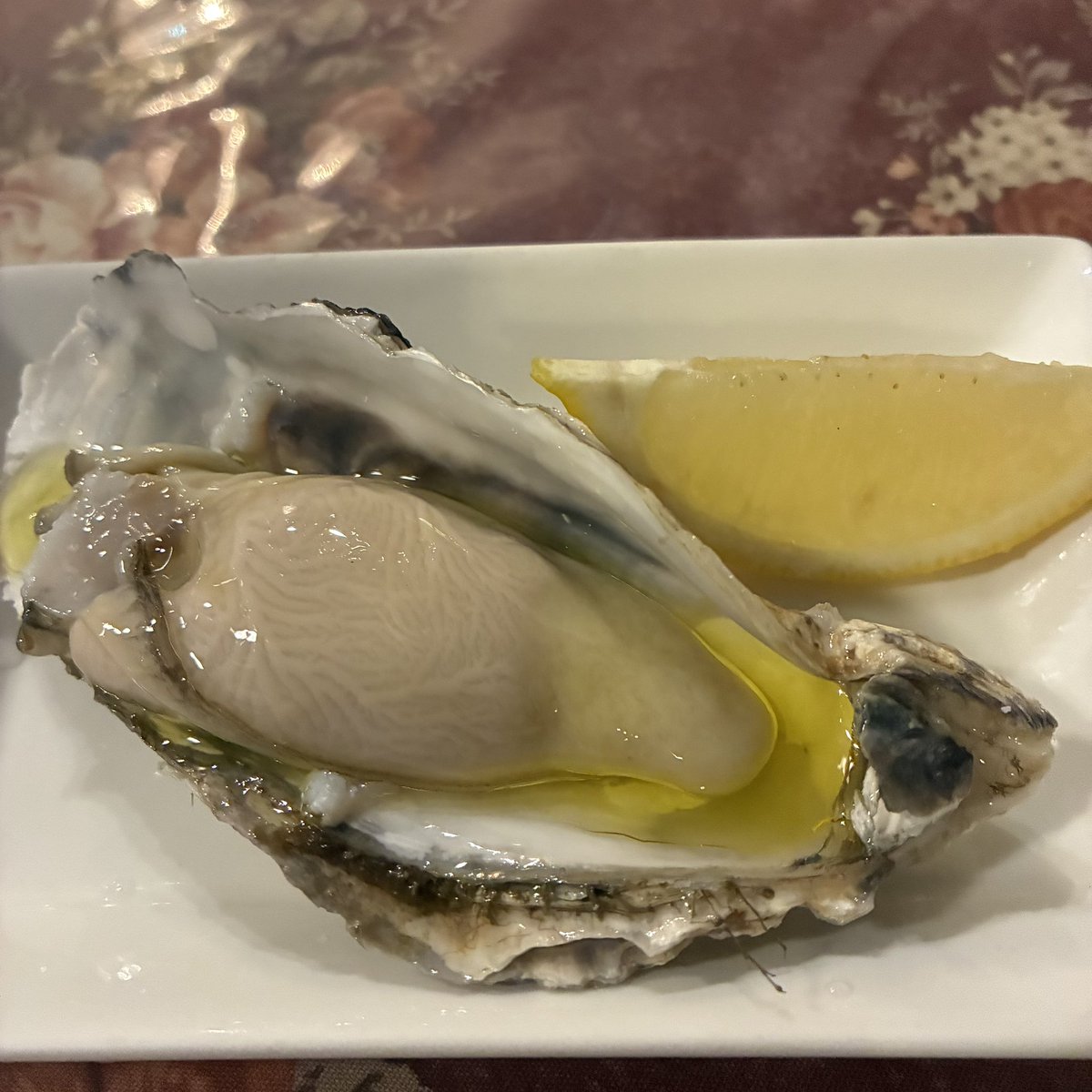 matthew2238's tweet photo. キンタマのシワみたいなのが見えるのだが、うまい牡蠣だった https://t.co/daZstPlQB7
