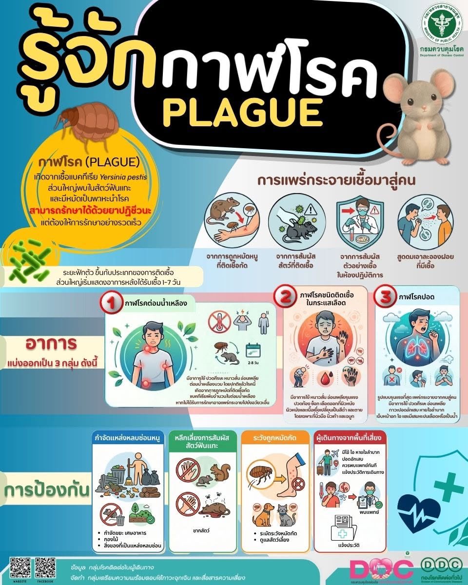 ddc_riskcom's tweet photo. 📍 รู้จัก กาฬโรค (PLAGUE) 🐁

ที่มา: กองโรคติดต่อทั่วไป กรมควบคุมโรค
------------------------------
⏬สามารถติดตามข่าวสารโรคและภัยสุขภาพอีกช่องทางหนึ่งทาง 
https://t.co/YC6weInuqC
#แชร์บอกต่อ #กาฬโรค
#สธใส่ใจสุขภาพคนไทย
#สายด่วน1422
#กรมควบคุมโรคห่วงใยอยากเห็นคนไทยมีสุขภาพดี💖 https://t.co/ELHDvEA3cT