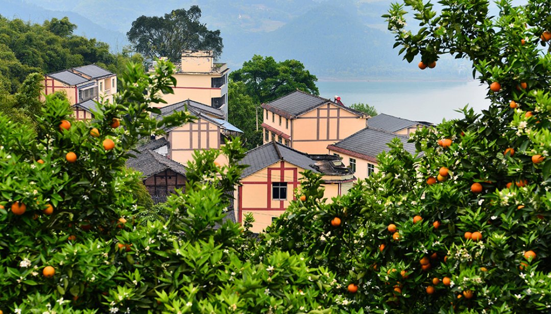 Ulises95577302's tweet photo. A toxic tangerine, a Dong village, dry and warm—let’s explore unique small places with unexpected flavors!， https://t.co/rNhNAKz2cq