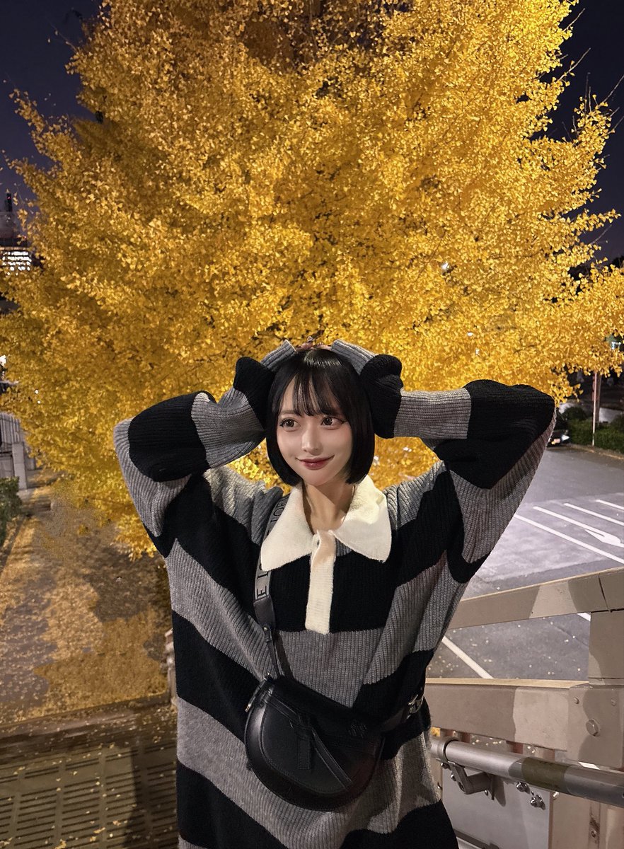 Ayan_TENRIN's tweet photo. 秋のやんちゃんって可愛いんだよねー🍂 https://t.co/P9F9U9myzb