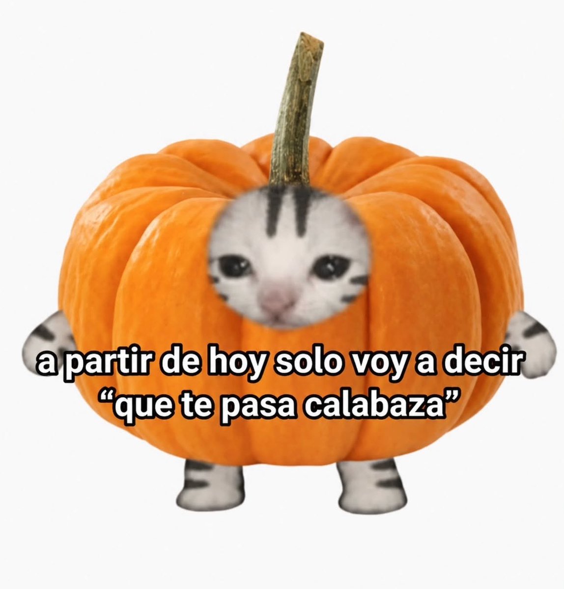 skereunpesado's tweet photo. https://t.co/UgyOJL8Tp0