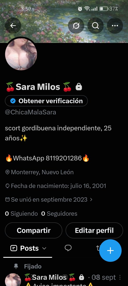 SaraMilos404's tweet photo. Me volvieron a suspender la cuenta :v 

Bueno fue la cuenta que más tiempo duro, QEPD 🕊️🕊️

Espero volver a tener seguidores jajajaja lo único que me queda para que me reconozcan es .....  @SaraMilos4 https://t.co/7RfzZ174YW
