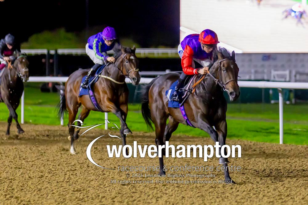 WolvesRaces tweet picture