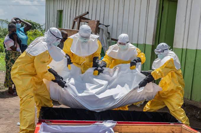 Numbersuganda's tweet photo. updates: Kenya has confirmed its first imported case of Ebola Bundibugyo virus disease (BDBV). The patient, a Kenyan citizen who had lived in the DRC for seven years, travelled through Uganda before arriving in Nairobi on October 3.

@Numbersuganda

https://t.co/yKEMLyJpbp https://t.co/EcKNhhi6oB