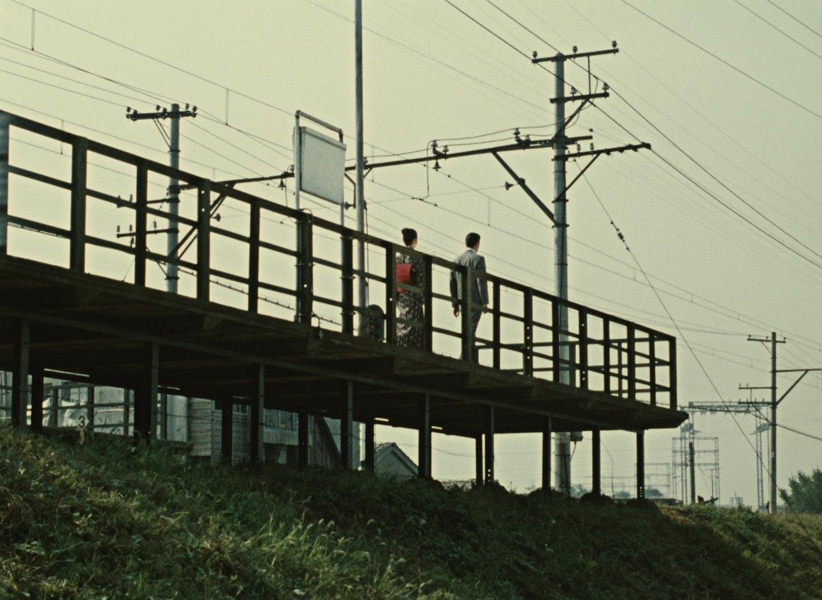 filmfr4me's tweet photo. An Autumn Afternoon (1962)
director: Yasujirō Ozu https://t.co/aiXHEoG82y
