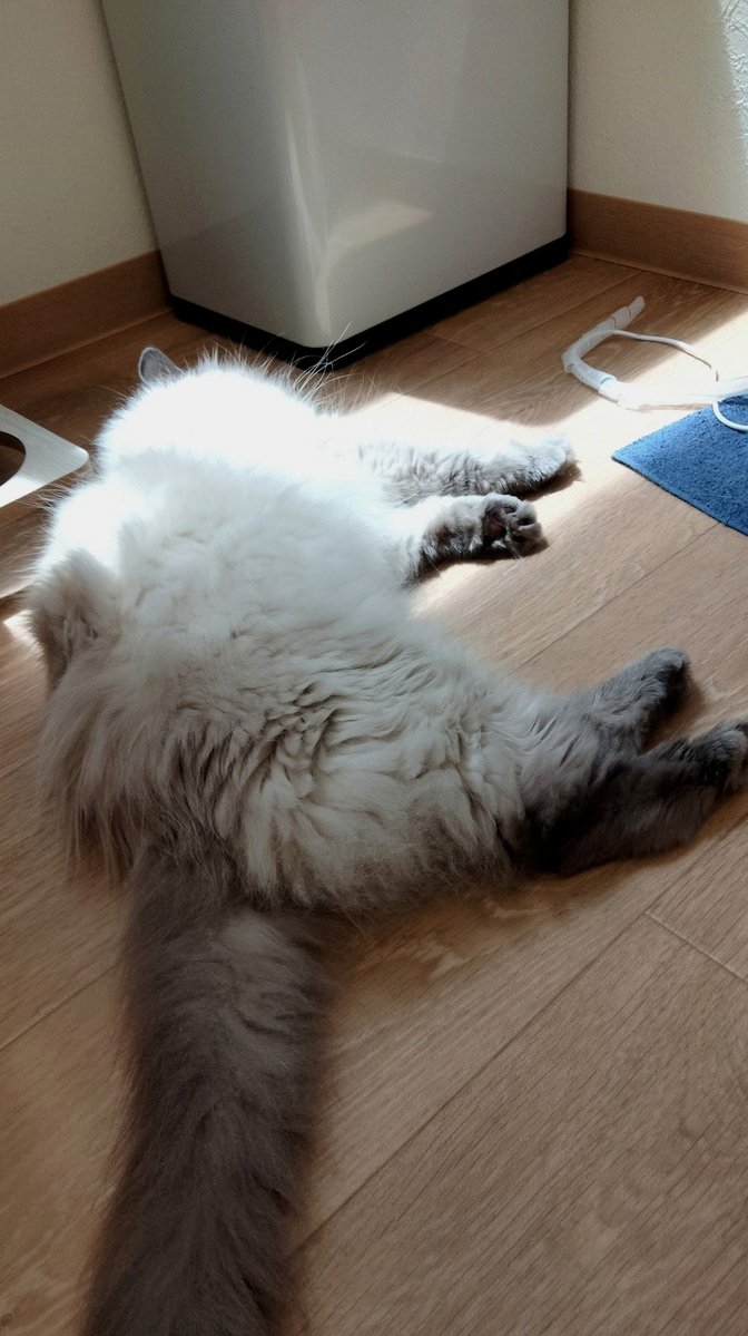 robertmazzoni's tweet photo. 田舎に住んでるから終電ないし次の日早番だから延長特典会いけないのおわりね https://t.co/x1GQY38cd2