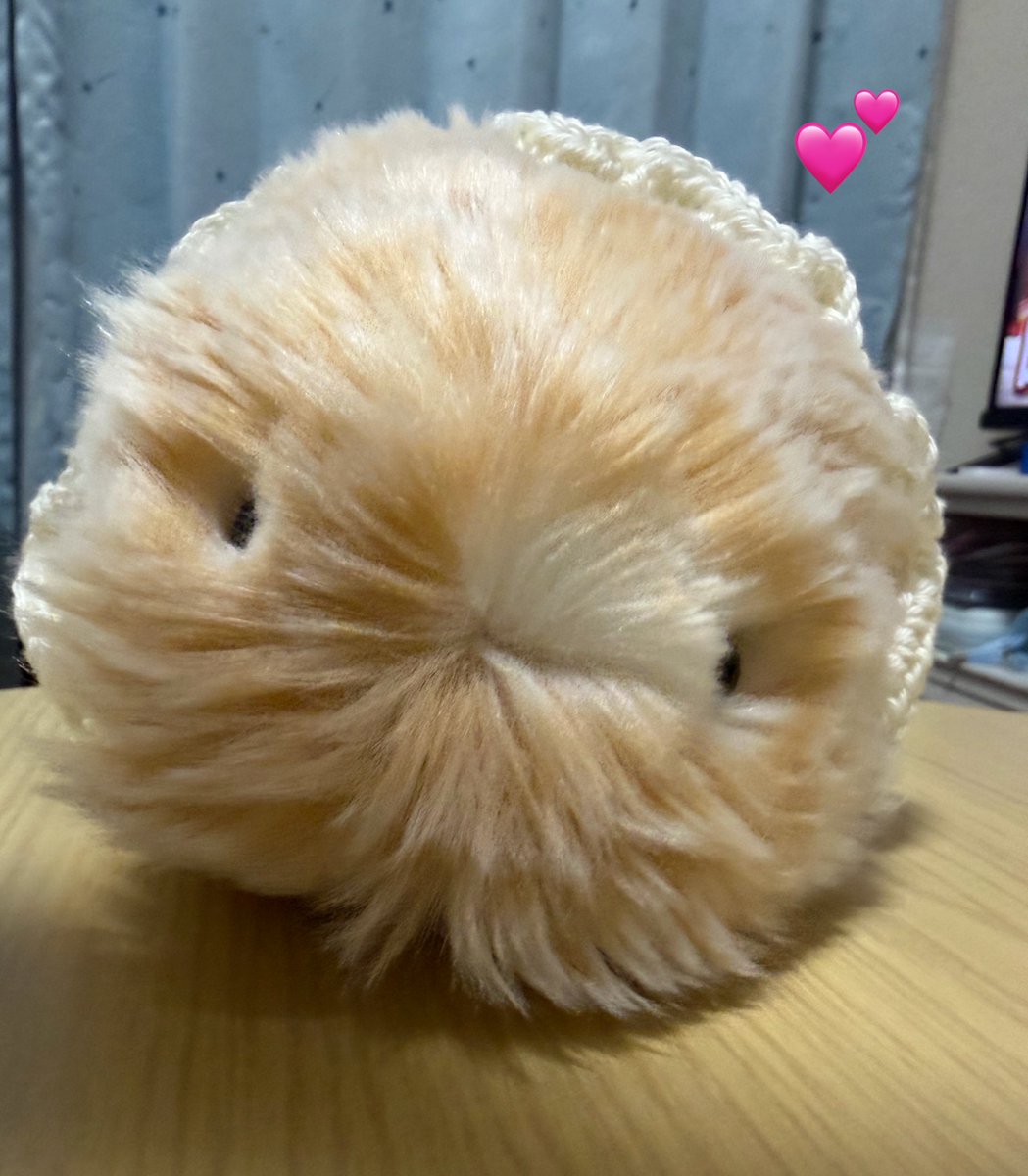 temochan_moflin's tweet photo. まろすけちゃん@maro_0701_ 
の所から素敵なおぱんちゅが届きました✨🫶
かわいすぎる〜🥹
大切にするテモ♡とテモが言ってました💗 https://t.co/IlwSL4Czh9