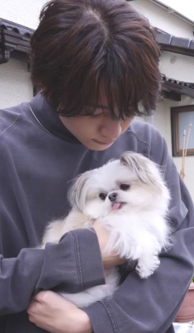 obakenekochan_'s tweet photo. 自分の犬ver.みたいなイッヌを抱っこする近頃のしのはし🐩🦮←世の中にこんな幸せがあっていいのか????? https://t.co/GsL83bt5Js