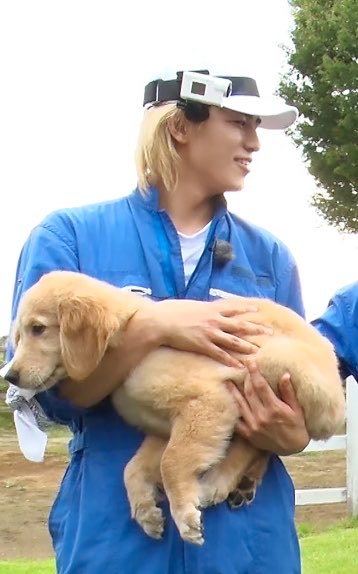 obakenekochan_'s tweet photo. 自分の犬ver.みたいなイッヌを抱っこする近頃のしのはし🐩🦮←世の中にこんな幸せがあっていいのか????? https://t.co/GsL83bt5Js