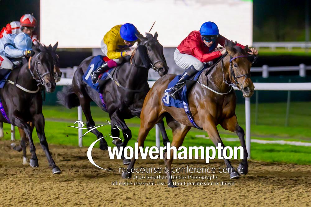 WolvesRaces tweet picture