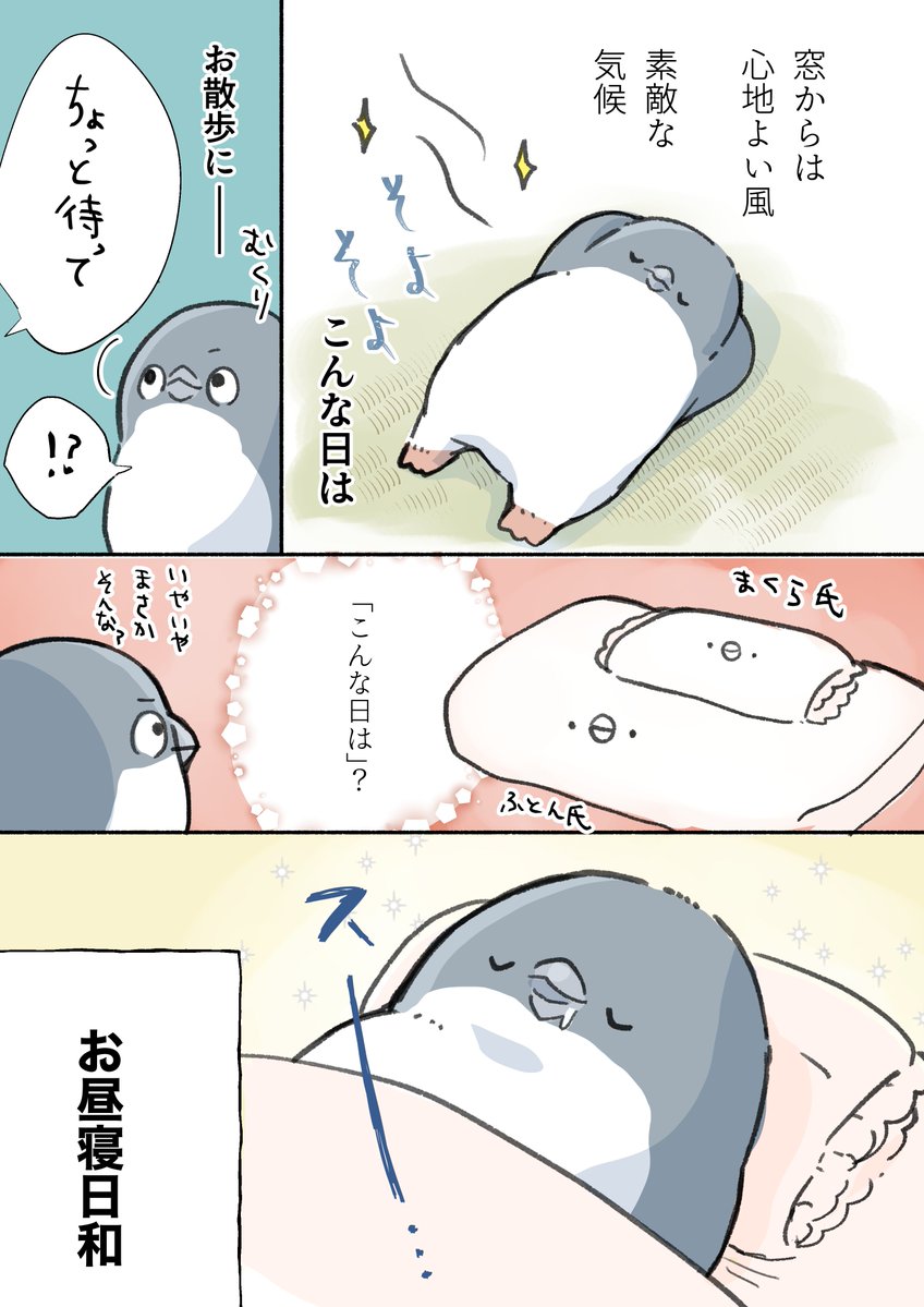 tasoema416's tweet photo. 過ごしやすい気候 https://t.co/g1wKWZDJCF