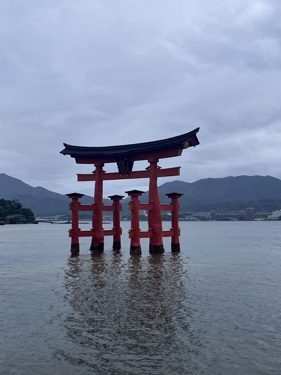 ivemeeting's tweet photo. 遠征しない身が言うことじゃないのは重々承知だが...
【3枚購入計5,700円：パフォ1曲（？）＋ハイタ】
どの層に向けた「プロモーションイベント」なん？
”SNSで動画みて” "友達に誘われて” で、行くかこれ？
パフォ目当て（私）勢→ "高けぇ1曲"
接触目当→ ”高けぇハイタ"
誰得なん？？？？ https://t.co/MKmswfWkg1