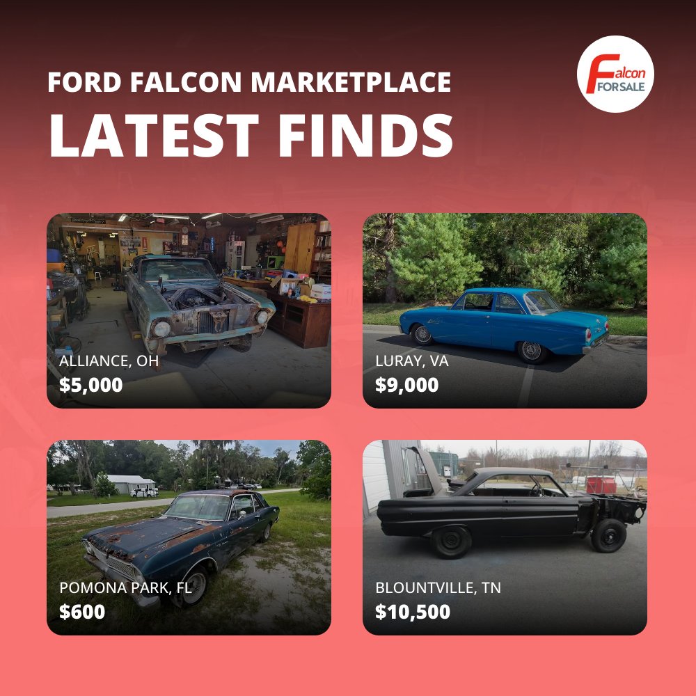 falconforsale's tweet photo. Check out new listings shared daily! Visit https://t.co/of1eeiZ9Ag https://t.co/9rNIlK15xz