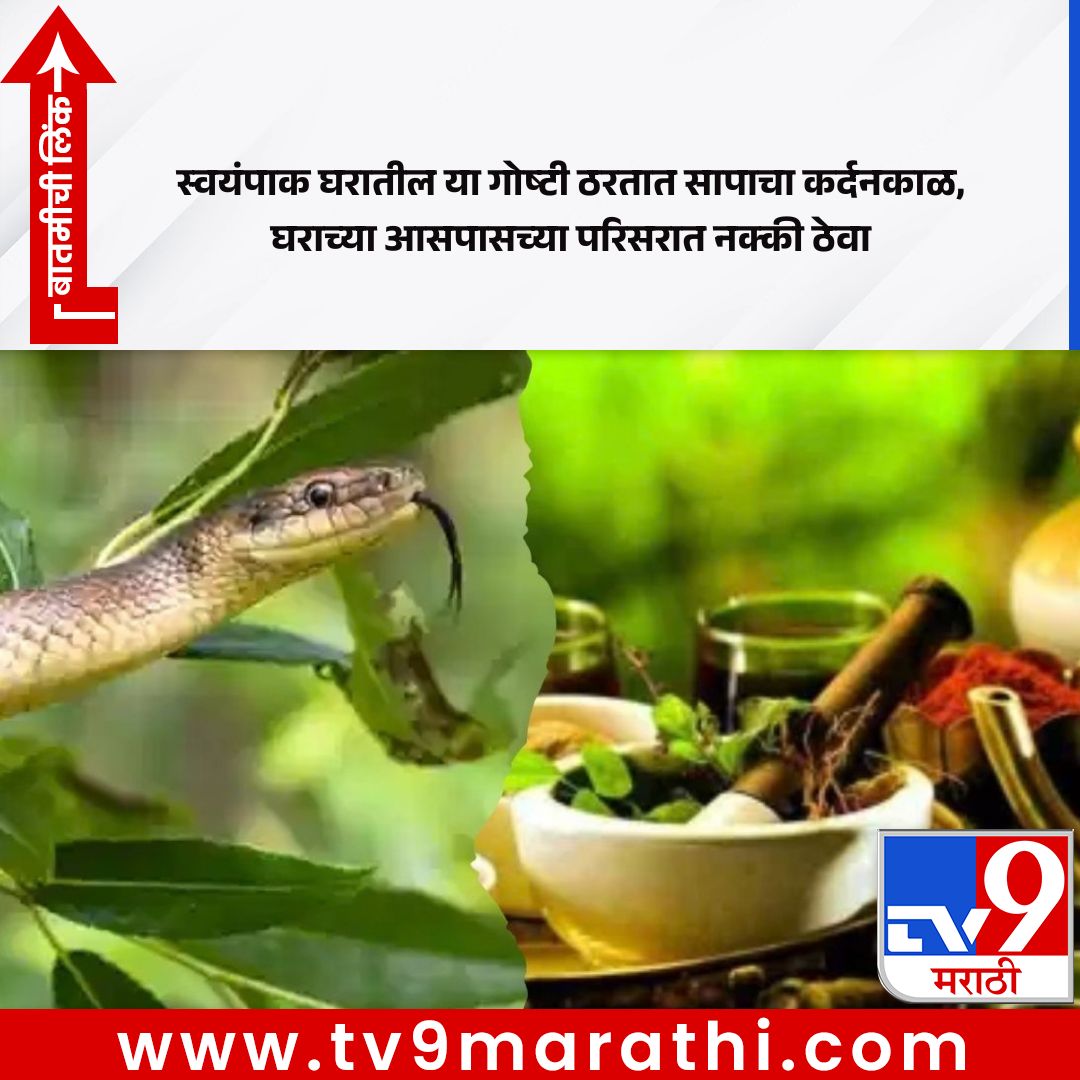 TV9Marathi's tweet photo. स्वयंपाकघरातील या गोष्टी सापांना ठेवतात दूर
https://t.co/xGdTw89aOK
.
.
.
#SnakeRepellent #SnakeSafety #HomeRemedies #SnakePrevention #KeepSnakesAway https://t.co/nWlXbDNAxG