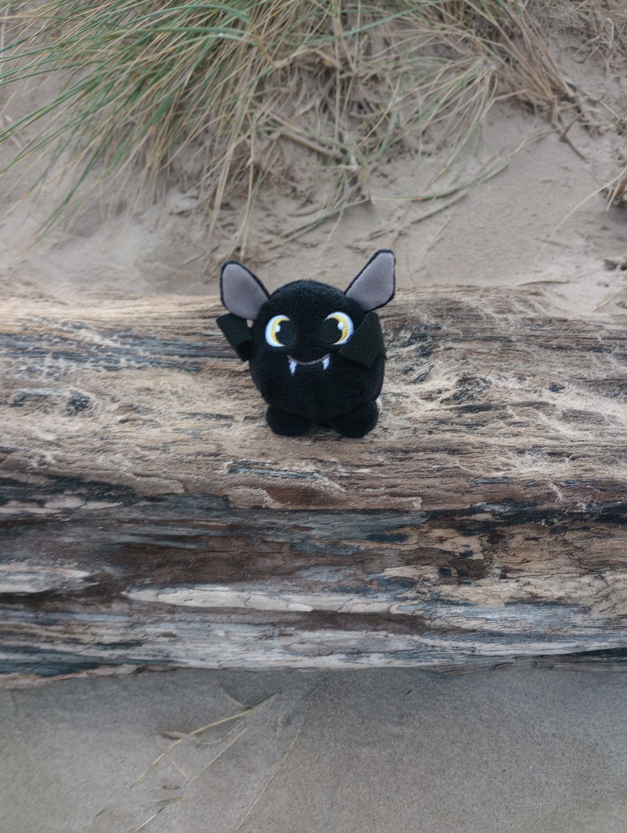 CricketNut2005's tweet photo. @keepfits Alfresco #keepfits by Whitby batty 🦇🖤👍👍 https://t.co/Vwrkq4ABon