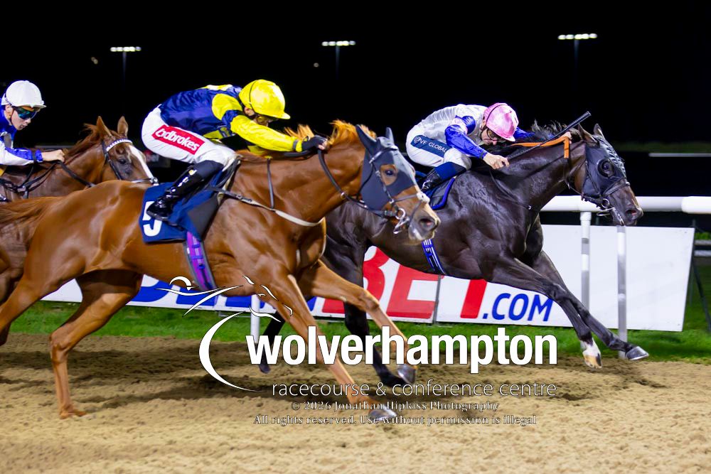 WolvesRaces tweet picture