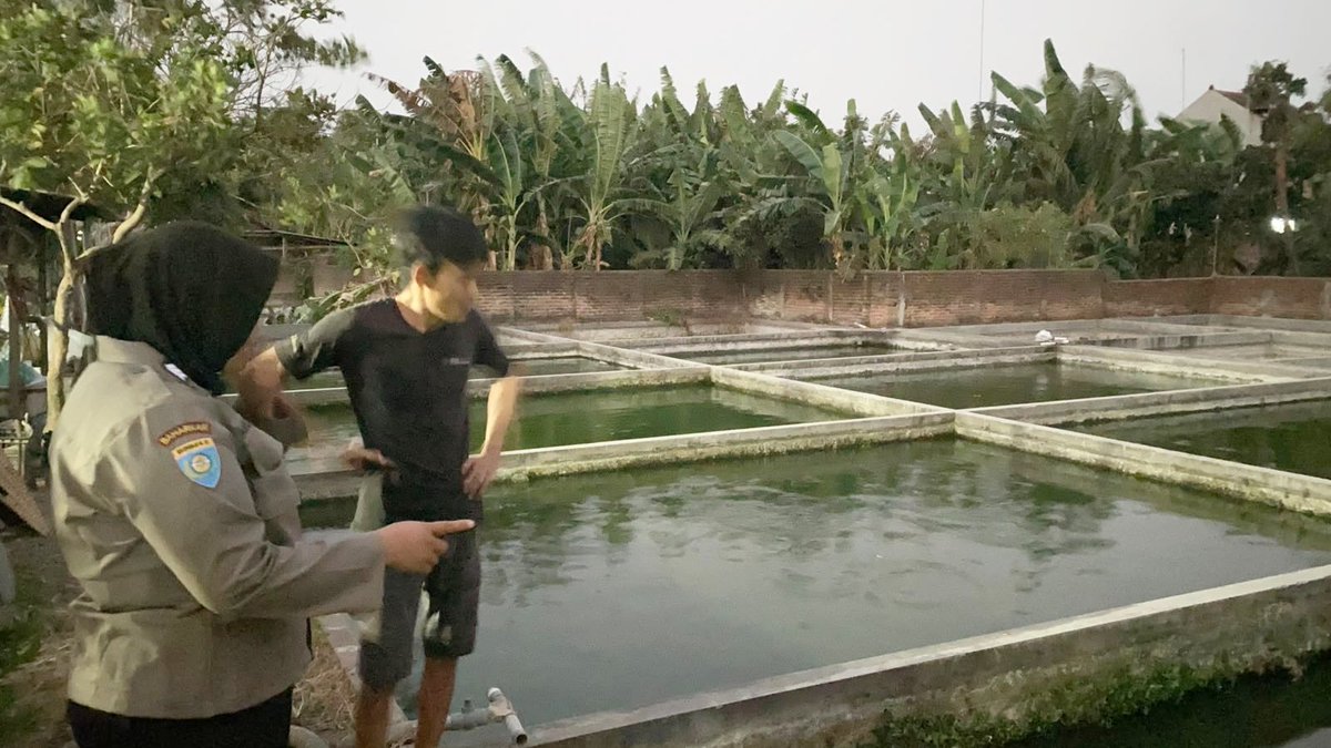 unitbinmaswrj's tweet photo. Bhabinkamtibmas Desa Kampungbaru, Kec. Tanjunganom memantau pemanfaatan lahan Pekarangan Pangan Bergizi (P2B) milik warga binaannya guna mendukung Ketahanan Pangan Nasional.

#ketahananpangan
#swasembadapangan
#polrikawalketahananpangan
#polrikawalswasembadapangan
#astacita https://t.co/TxoBo10ERE