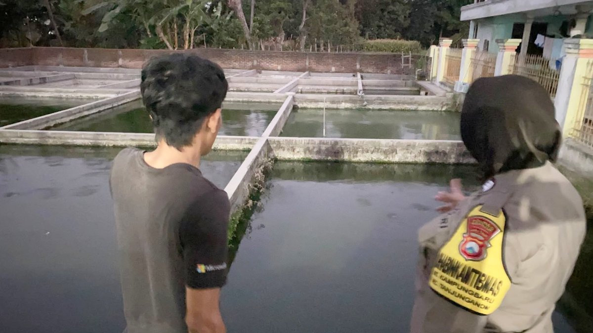 unitbinmaswrj's tweet photo. Bhabinkamtibmas Desa Kampungbaru, Kec. Tanjunganom memantau pemanfaatan lahan Pekarangan Pangan Bergizi (P2B) milik warga binaannya guna mendukung Ketahanan Pangan Nasional.

#ketahananpangan
#swasembadapangan
#polrikawalketahananpangan
#polrikawalswasembadapangan
#astacita https://t.co/TxoBo10ERE