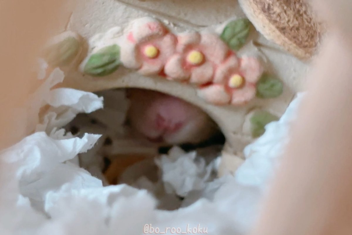 A close-up of a decorated cake or pastry with pink flower frosting designs and green leaves, featuring a small pink bird figure peeking out from a hole lined with crumpled white paper, with the watermark '@bo_roo_koku'.