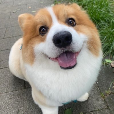Pgenf0921's tweet photo. #新头像 https://t.co/zAztDsRRhs