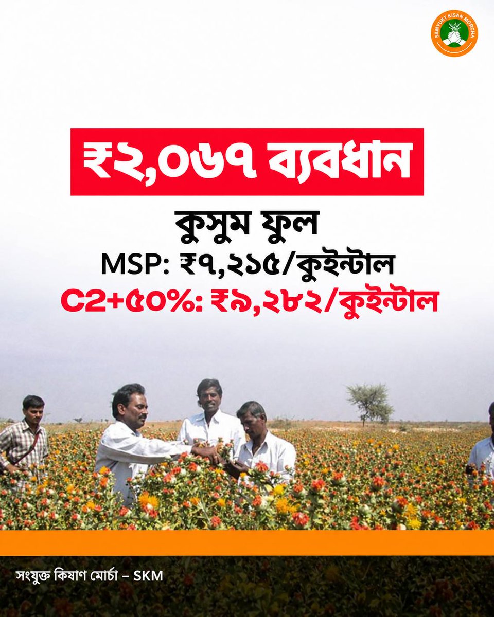 JKA_WB's tweet photo. পোস্টার অনুযায়ী, কুসুম ফুলের MSP ₹৭,২১৫ প্রতি কুইন্টাল, যেখানে C2+৫০% হিসাবে ₹৯,২৮২। ব্যবধান ₹২,০৬৭ প্রতি কুইন্টাল।

#SamyuktKisan #Safflower #MSP #FarmersRights #Agriculture https://t.co/yxzNPrefrJ