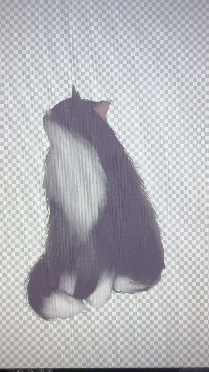 373namizo's tweet photo. ネコチャン🐈‍⬛ https://t.co/wms9cNxBGU