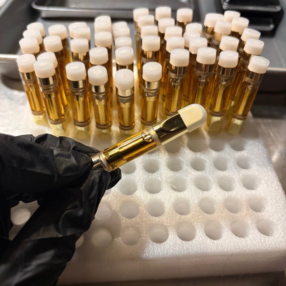 PapillonSci's tweet photo. https://t.co/JTA8o4O2ZW