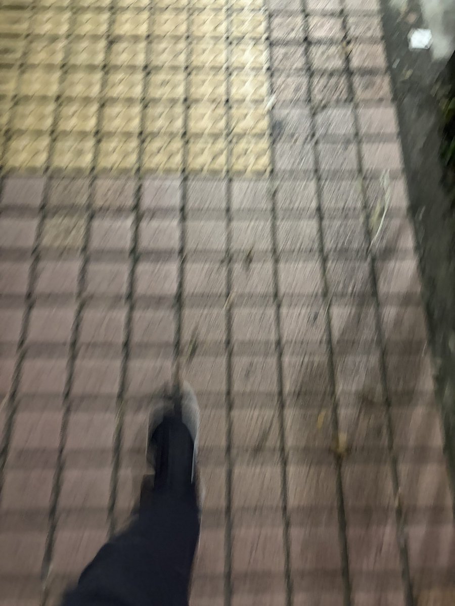shirochan_god's tweet photo. 🍂ウォーキング中🚶🍂
風が出てきて良い感じ💨💨 https://t.co/QX6kcUmBqR