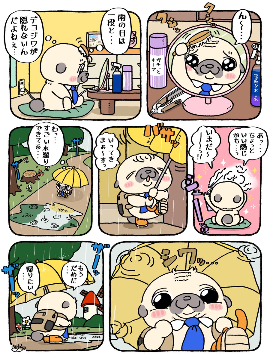 pug_no_mottan's tweet photo. 雨と前髪とぼく🐶☔️ https://t.co/hqxLIJa1ot