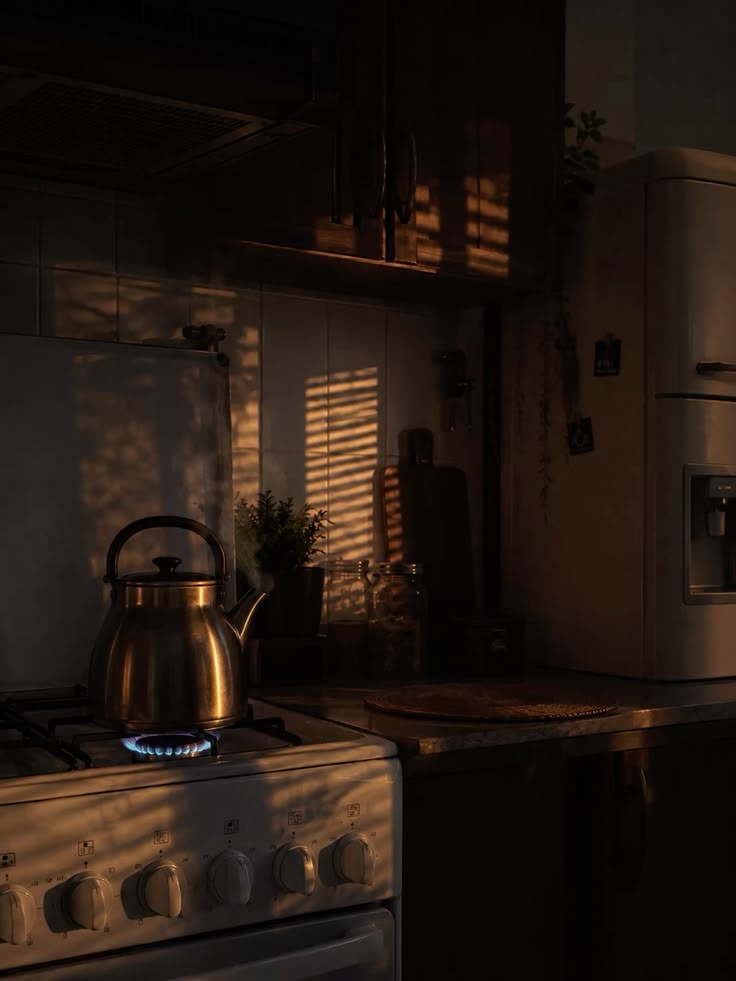 calmgloww's tweet photo. warm light, quiet evenings https://t.co/2v3e5e9nSy