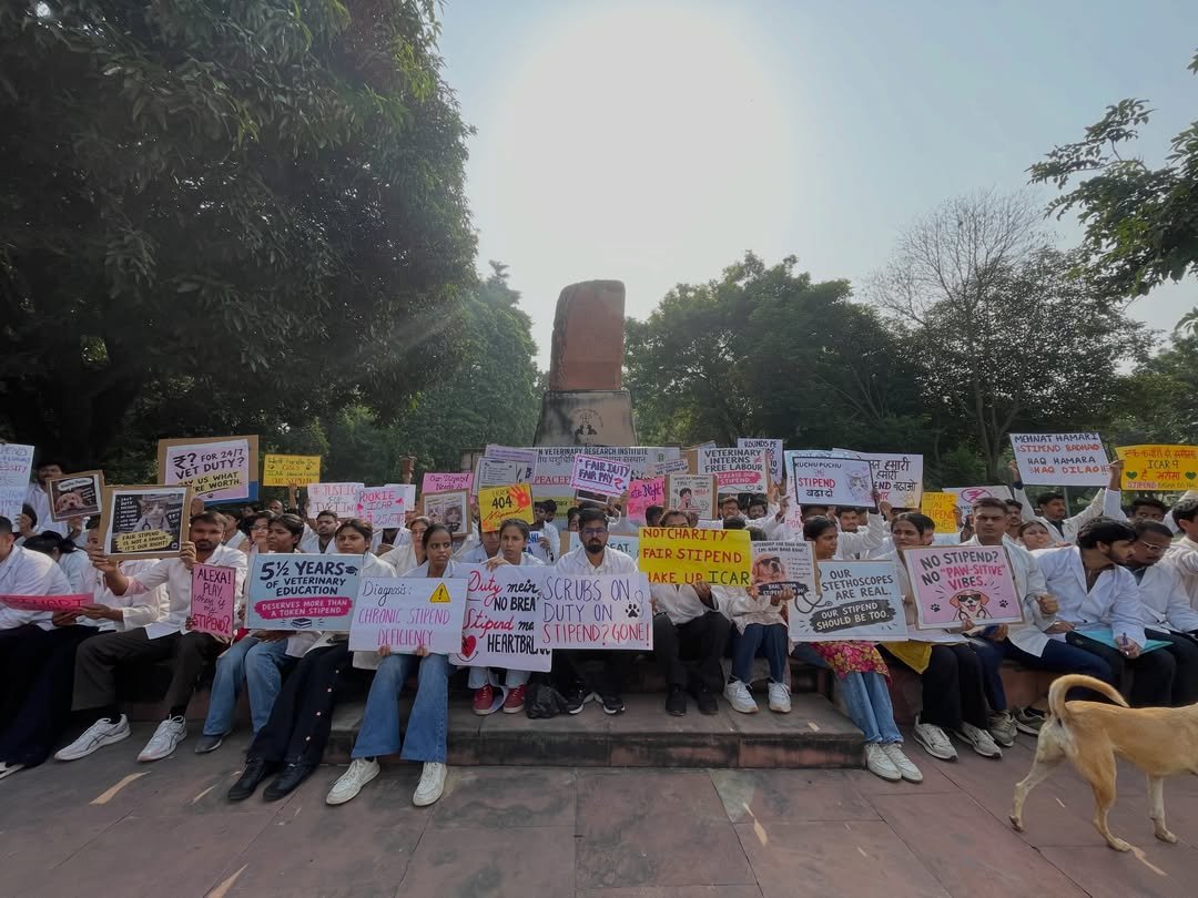 avichahar's tweet photo. Veterinary interns at IVRI Bareilly are on the frontlines of animal health, yet face meager, unfair stipends.
We stand united in demanding a fair stipend increment to ₹25,000/month. Value our vets!
#IVRIINTERNSTIPEND #StudentsProtest @WIONews @BBCIndia https://t.co/5RmkZUuljm